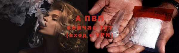 трава Абаза