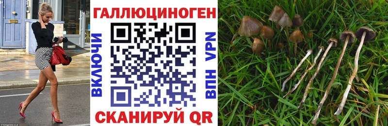 наркота  Усть-Лабинск  Псилоцибиновые грибы Magic Shrooms 