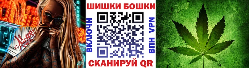 где купить   Усть-Лабинск  mega как зайти  Канабис SATIVA & INDICA 
